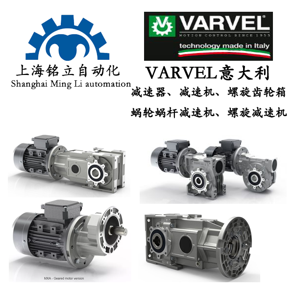 VARVEL意大利减速器、减速机、螺旋齿轮箱、蜗轮蜗杆减速机、螺旋减速机、行星减速机及机械式变速器